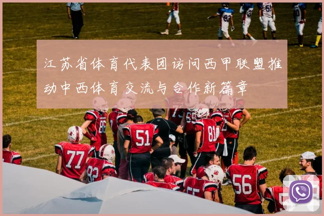 江苏省体育代表团访问西甲联盟推动中西体育交流与合作新篇章