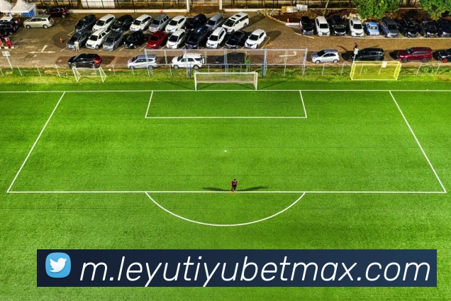 乐鱼体育APP 高清赛事图